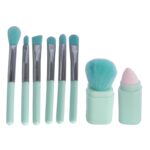 براش آرایشی