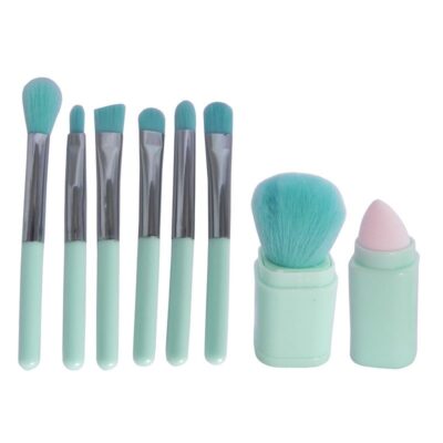 براش آرایشی