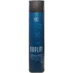 اسپری نگهدارنده حالت مو آیلت مدل Strong hold حجم 500 میلی لیتر - Image 2