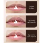 بالم لب سادور مدل قهوه - Image 8