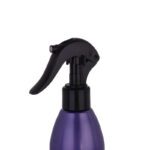 اسپری حالت دهنده مو با قدرت حفظ حالت مو 2 ویتاپلکس مدل CC03 مناسب مو رنگ شده حجم 300 میلی لیتر - Image 2